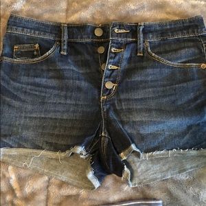 Brand New Universal Thread Shorts!